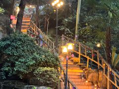 -巴倒烫陆派重庆火锅(南山店)