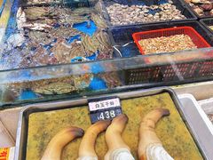 -启东海鲜人家(古美路店)
