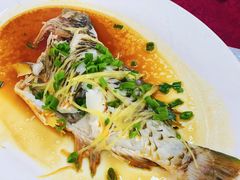 -隆都四季香饭店(碧海路店)