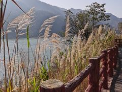 -羚羊峡古栈道森林公园