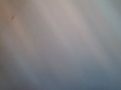 -巢爷老味(东方红店)