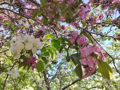 -元大都城垣遗址公园