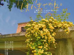 -半坡国际艺术区