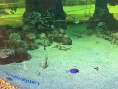 -尚泰清迈机场购物中心