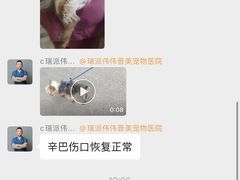 -伟伟宠物医院·CT影像中心·瑞派犬猫综合性门诊(汉口总院)