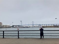 -大连圣亚海洋世界