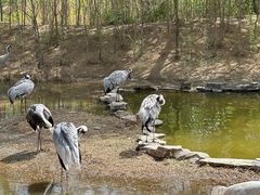 -北京野生动物园