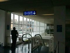 -信德中旅船务管理有限公司