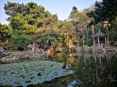 -叶家花园