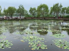 -绿堤公园
