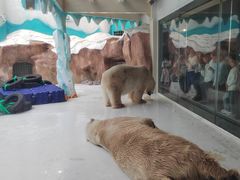 -哈尔滨极地公园