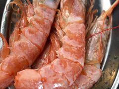 大虾-秋葉原ホルモン おいで屋