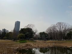-后襄河公园