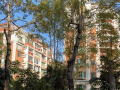 -华侨公园