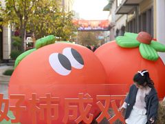 -王府井奥莱临潼小镇(临潼店)