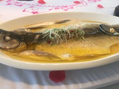 招牌野生白丝鱼-同庆楼(金宝汇店)