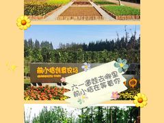 -前小桔亲子创意农场·草莓采摘·露营烧烤