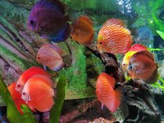 -上海海洋水族馆