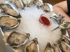 -Oyster Talks 四度蚝法餐厅