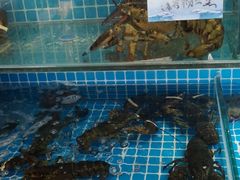 -良师门滨海人家·海鲜·家常菜(滨海城店)