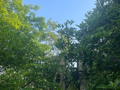 -南阳卧龙岗武侯祠