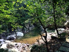 龙王山风景旅游区-湖州龙王山景区