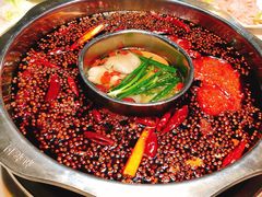 -枇杷园食为鲜火锅(南山店)