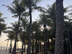 -深圳湾公园(南山区)