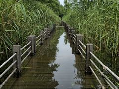 -苏州太湖湖滨国家湿地公园