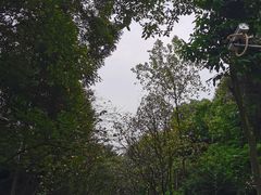 -两江幸福广场