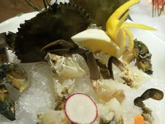 -尚海豆捞(乐虹坊店)