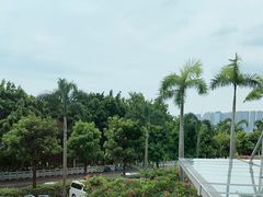 -海湾壹品·粤菜·早茶·烤鸭(拱北店)