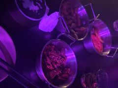 -梦田音乐miniLIVE(漳州店)