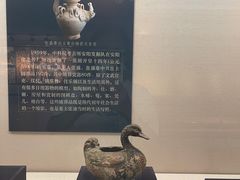 -安阳博物馆