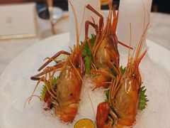 -人间采蜜(海信广场店)