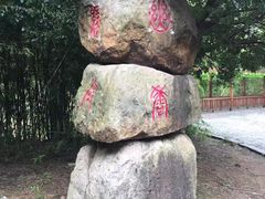 -东海大峡谷