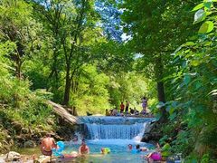 -北仑森林植物园