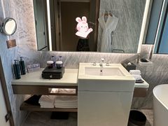 -深圳国际会展中心希尔顿酒店(前海华发冰雪世界店)