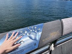 -星光大道