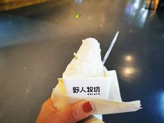 -野人牧坊Gelato(天津南开大悦城店)