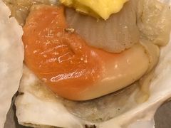 扇贝-熊出没日本烧肉放题