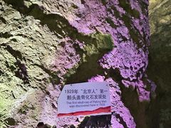 -周口店北京人遗址公园