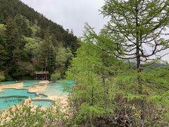 -黄龙山原始森林景区