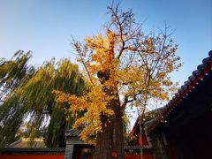 -承恩寺