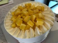 -维尔纳斯·生日蛋糕·动物奶油冰淇淋蛋糕(六里桥店)