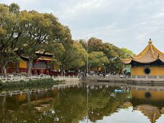 -洲晓鲜·舟山海鲜大排档(朱家尖风景区店)