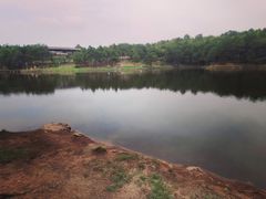 -南京市无想山景区