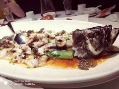 清蒸石斑鱼-顺风海鲜港(长寿路店)