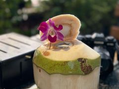 -卷心菜和避孕套餐厅(Pattaya)