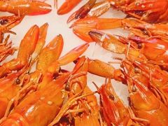 -红盔甲·小龙虾(人民广场店)
